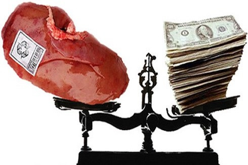 Hành vi buôn bán nội tạng người bị xử lý thế nào? ảnh 2