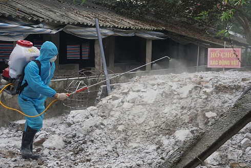 Gian nan phòng chống dịch tả lợn châu Phi ảnh 3