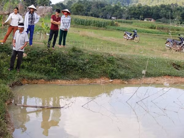 Đi mua sữa về, mẹ phát hiện 2 con đuối nước dưới ao ảnh 1