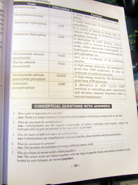 GS.NGND Nguyễn Lân Dũng: “Bức thư của cô gái Việt gửi từ Nepal rất đáng gửi đến Bộ trưởng!” ảnh 2