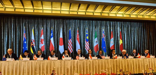 Tổng thống Putin: Hiệp định TPP chẳng là gì nếu thiếu Nga và Trung Quốc ảnh 2