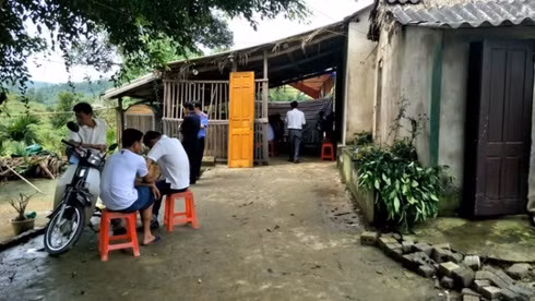[Audio 10-3-2019] Hà Nội phát hiện thêm ổ dịch tả lợn châu Phi ở Sóc Sơn ảnh 2