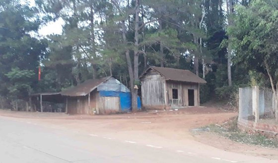 Gia Lai: Khiển trách 2 kiểm lâm, cảnh cáo 3 viên chức công ty lâm nghiệp ảnh 2