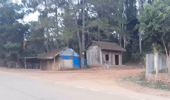Gia Lai: Khiển trách 2 kiểm lâm, cảnh cáo 3 viên chức công ty lâm nghiệp ảnh 2 Gia Lai: Khiển trách 2 kiểm lâm, cảnh cáo 3 viên chức công ty lâm nghiệp ảnh 2