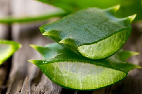 Những loại mặt nạ tự nhiên cho làn da khô nứt nẻ trong mùa lạnh ảnh 5 Những loại mặt nạ tự nhiên cho làn da khô nứt nẻ trong mùa lạnh ảnh 5