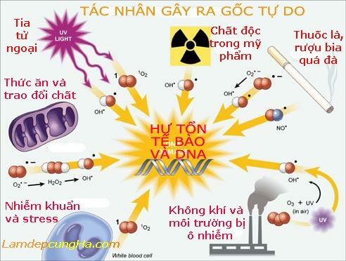 Suy giảm trí nhớ do... cuộc sống hiện đại ảnh 1