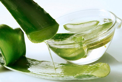 Thử ngay 10 loại mặt nạ tự nhiên "thần kỳ" cho da khô nứt nẻ ảnh 1 Thử ngay 10 loại mặt nạ tự nhiên "thần kỳ" cho da khô nứt nẻ ảnh 1