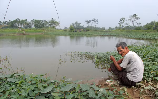 Sông Đáy thơ mộng bị ô nhiễm trầm trọng, trở thành "dòng sông chết" ảnh 2