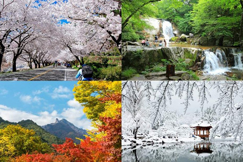 Những bí kíp để có chuyến du lịch Hàn Quốc "hoàn hảo" ảnh 1 Những bí kíp để có chuyến du lịch Hàn Quốc "hoàn hảo" ảnh 1