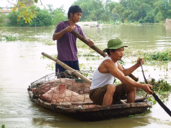 Dự báo thời tiết thiếu chính xác vì mô hình quá cũ ảnh 1