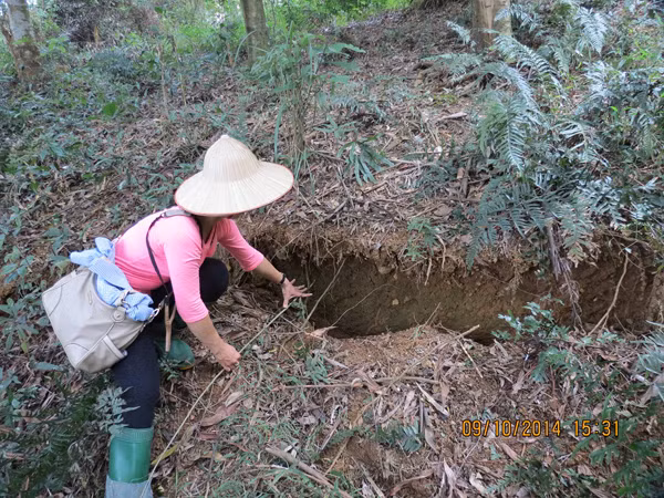 Nứt nghiêm trọng trên núi Ba Vì ảnh 1