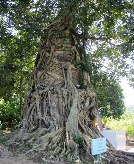 Kỳ bí ngôi tháp cổ có nhiều người đến tự tử nhưng lại được cứu sống ảnh 1
