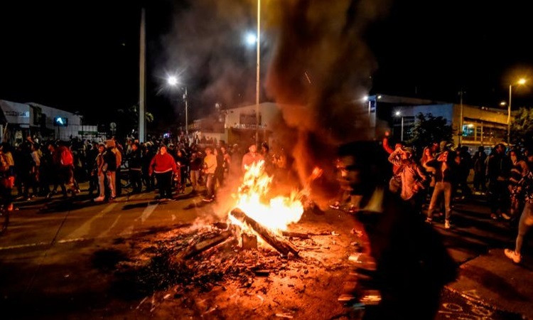 [AUDIO 24-11-2019] Thả cá thể rùa nặng 100kg về môi trường biển ảnh 4