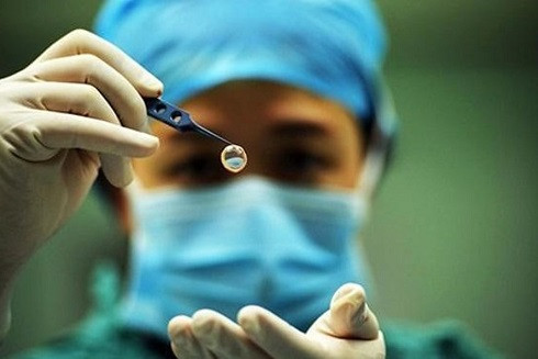 Những quyền được hưởng của người hiến tạng ảnh 1