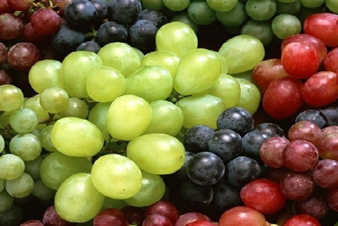 10 loại thực phẩm giúp tiêu diệt tế bào ung thư trong cơ thể ảnh 4