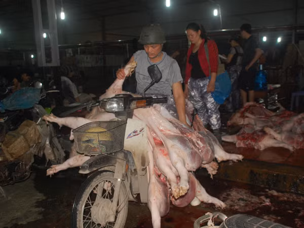 80% thịt đảm bảo ATTP vào năm 2020: Kỳ vọng có thành hiện thực? ảnh 1
