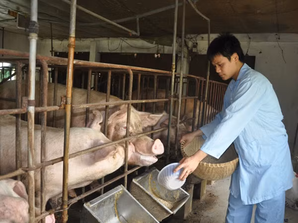 Trên bước đường thành công, không có vết chân của kẻ lười biếng ảnh 2