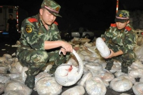 Phát hiện vật chủ trung gian mới lây truyền virus corona ảnh 2 Phát hiện vật chủ trung gian mới lây truyền virus corona ảnh 2