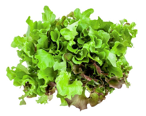 5 thực phẩm có lợi cho mắt ảnh 2 5 thực phẩm có lợi cho mắt ảnh 2