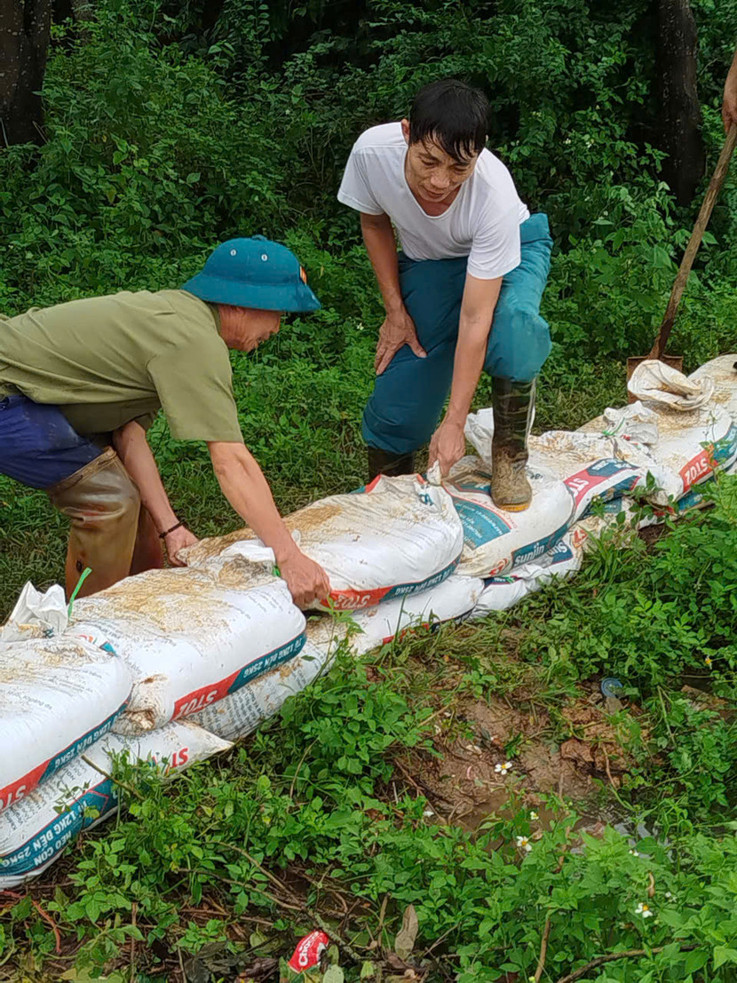 Những "bức tường ngăn lũ" được khẩn trương xây đắp