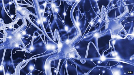 Béo phì, thuốc tránh thai có liên quan tới bệnh đa xơ cứng ảnh 1