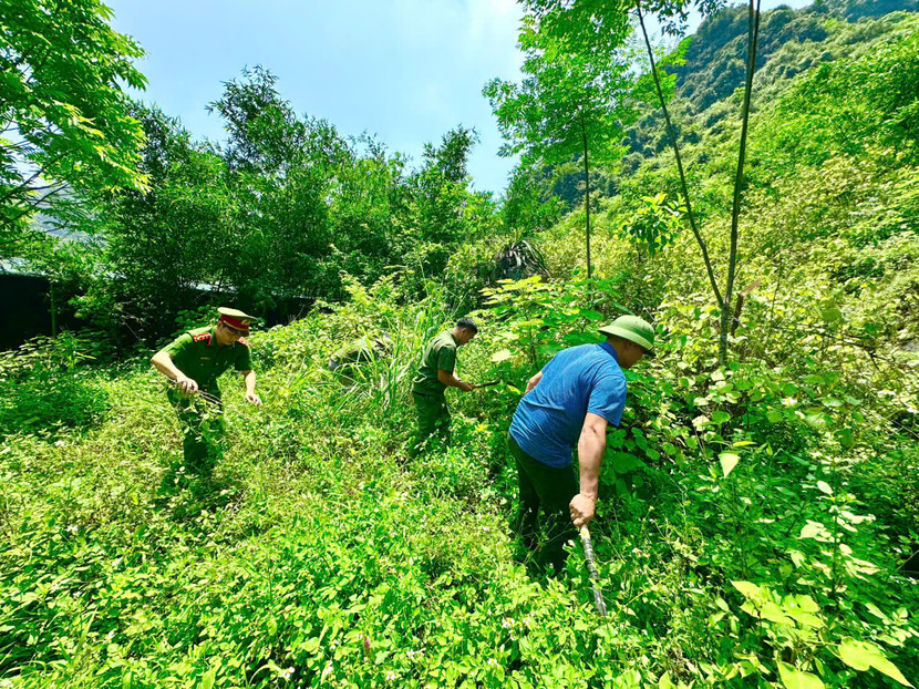 Phối hợp tuần tra, kiểm soát bảo vệ an toàn môi trường, hệ sinh thái và an toàn PCCC rừng