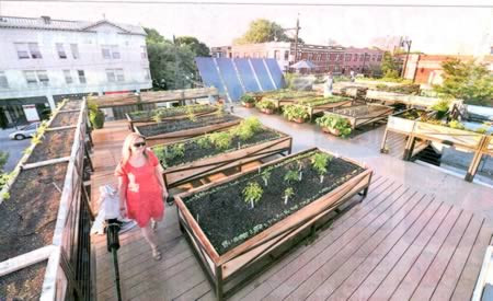 Giải trí trên nóc những tòa nhà chọc trời ảnh 6