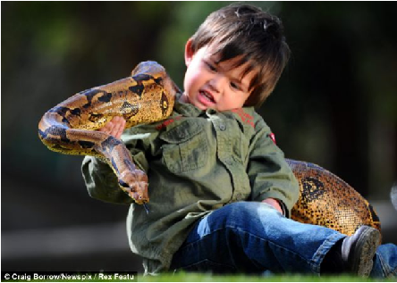 Bé Charlie yêu các con trăn và các con thằn lằn tới mức ám ảnh
