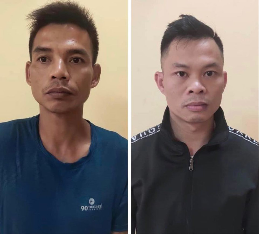 Hai đối tượng cướp giật bị bắt giữ