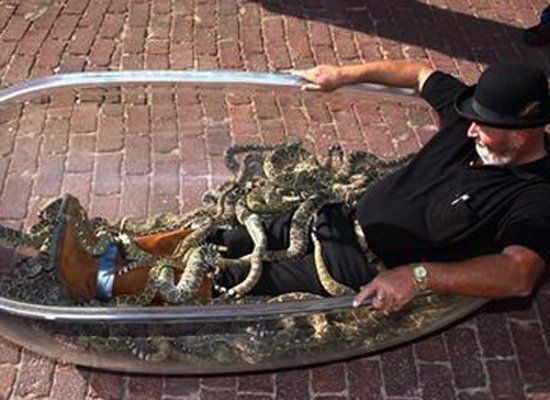 13 kỷ lục Guinness lạ lùng nhất thế giới ảnh 6