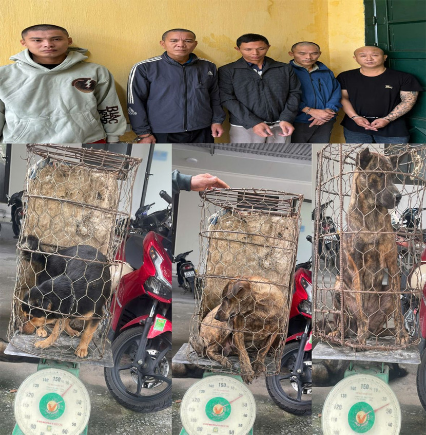 Nhóm đối tượng cùng các tang vật