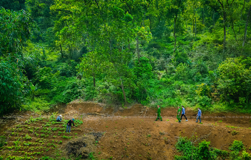 Các chiến sĩ men theo những lối mòn lên nương rẫy… tìm đồng bào