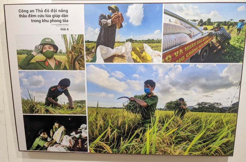 Tác phẩm "Công an Thủ đô đội nắng, thâu đêm cứu lúa giúp dân trong khu phong tỏa" của Đại úy Nguyễn Phú Khánh (Chuyên đề An ninh Thủ đô) đoạt giải A