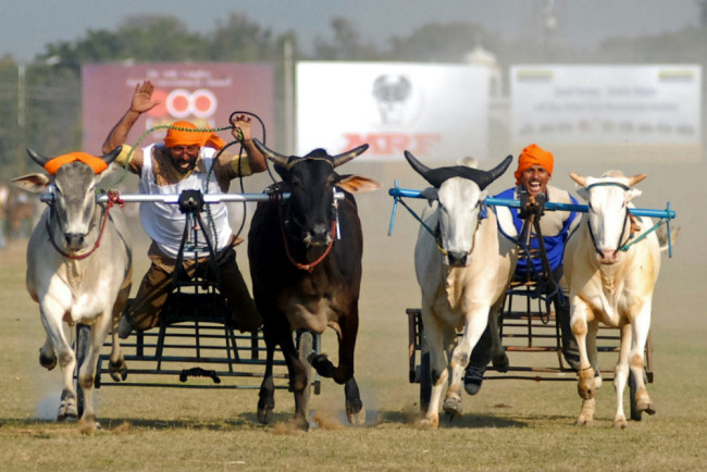 Kỳ dị thế vận hội ở nông thôn Ấn Độ ảnh 7