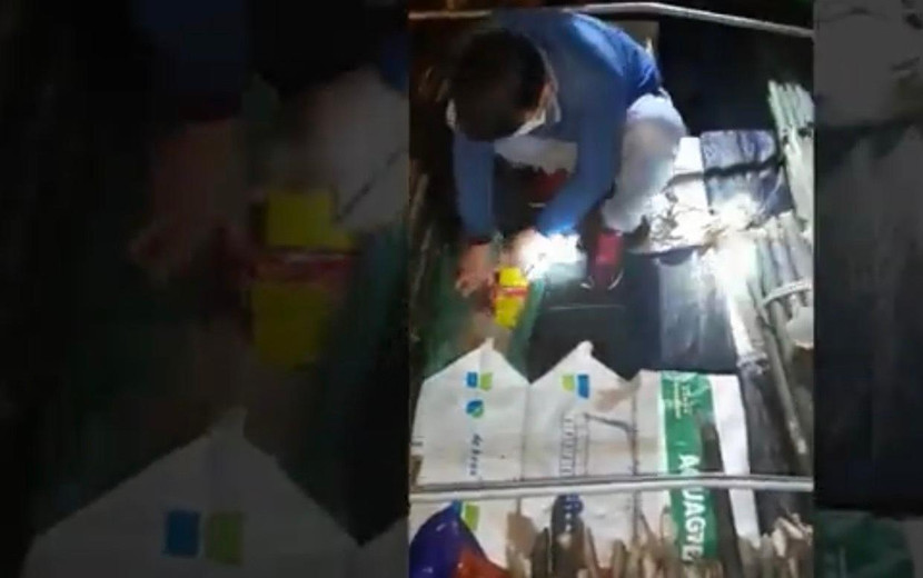 Ngụy trang số pháo để qua mắt lực lượng công an bằng cây vầu