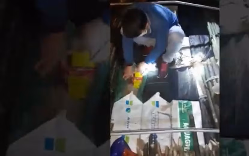 Ngụy trang số pháo để qua mắt lực lượng công an bằng cây vầu