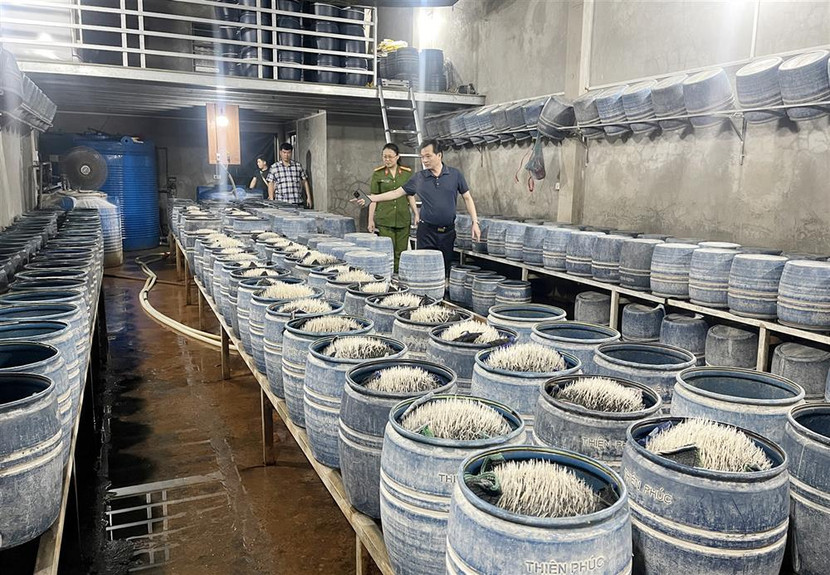 Khu vực sản xuất giá đỗ của ông Lưu Văn Vẽ. Khu vực sản xuất giá đỗ của ông Lưu Văn Vẽ.