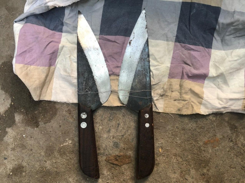 Con dao nhọn Thanh sử dụng gây án