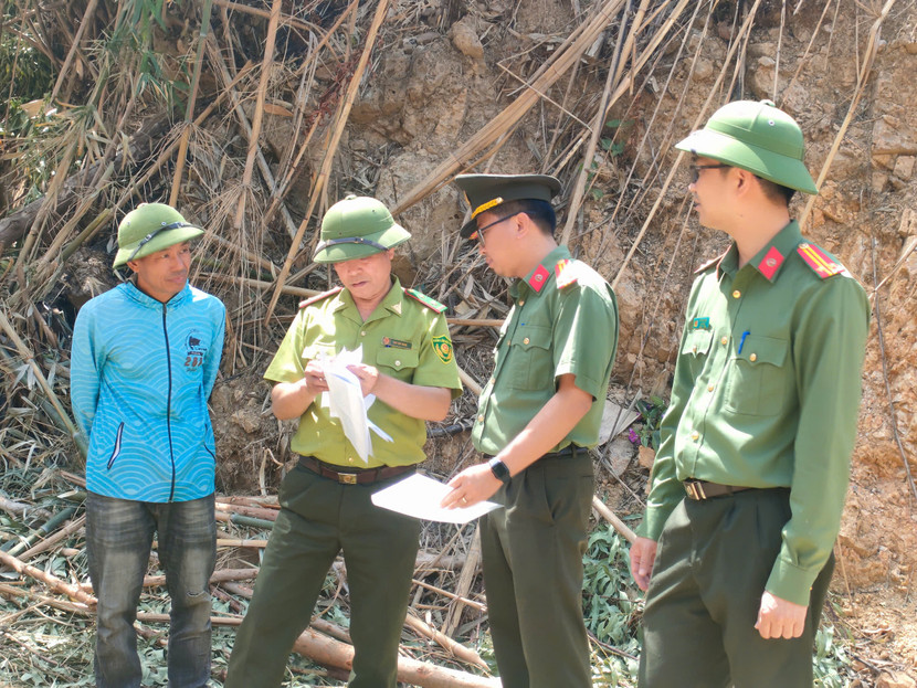 Vụ việc xảy ra tại TNHH một thành viên Lâm nghiệp Mai Sơn có tính chất phức tạp, là thủ đoạn mới, tinh vi nhằm lách luật, chưa có tiền lệ trong hoạt động điều tra các vụ án liên quan đến lĩnh vực lâm nghiệp. Vụ việc xảy ra tại TNHH một thành viên Lâm nghiệp Mai Sơn có tính chất phức tạp, là thủ đoạn mới, tinh vi nhằm lách luật, chưa có tiền lệ trong hoạt động điều tra các vụ án liên quan đến lĩnh vực lâm nghiệp.