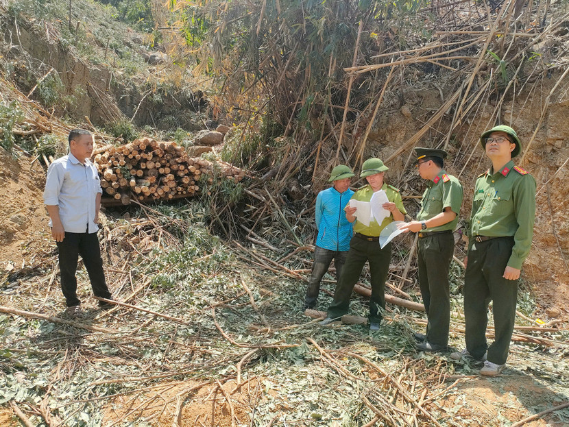 Những hậu quả từ việc buông lỏng quản lý, vi phạm pháp luật trong lĩnh vực lâm nghiệp đã khiến cho rất nhiều cánh rừng không những chảy máu mà còn kêu cứu. Những hậu quả từ việc buông lỏng quản lý, vi phạm pháp luật trong lĩnh vực lâm nghiệp đã khiến cho rất nhiều cánh rừng không những chảy máu mà còn kêu cứu.