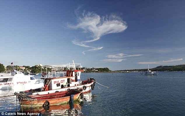 Những trái tim của tạo hóa thiên nhiên ảnh 6