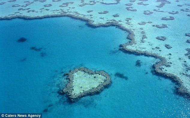 Những trái tim của tạo hóa thiên nhiên ảnh 8