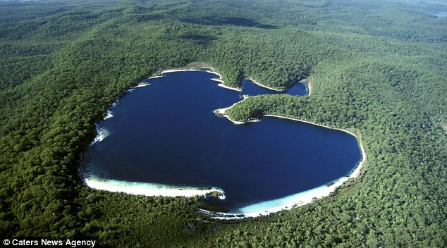 Những trái tim của tạo hóa thiên nhiên ảnh 7