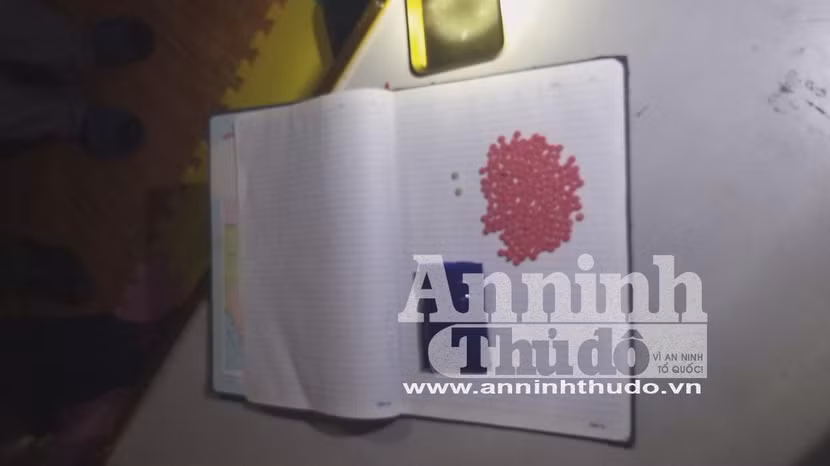 Số ma túy thu tại quán karaoke