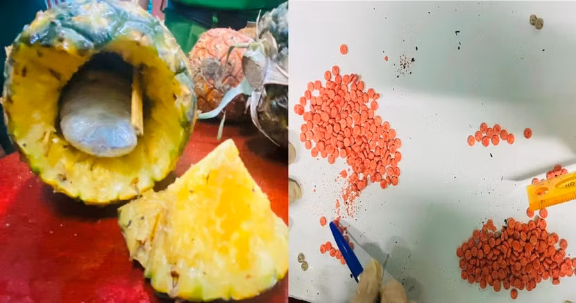 Ma tuý được giấu trong quả dứa