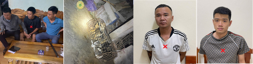 Nhóm đối tượng trộm cắp tài sản, tiêu thụ tài sản Nhóm đối tượng trộm cắp tài sản, tiêu thụ tài sản