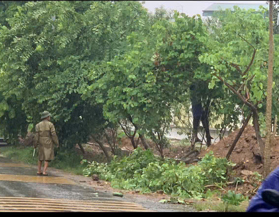 Theo ghi nhận, trên địa bàn huyện Thạch Thất ngay từ chiều tối 7-9 gió rất to và mưa lớn, nhiều cây cối bị đổ gẫy. Trong đó, có một ngôi nhà 4 tầng bằng tôn bị đổ sập hoàn toàn