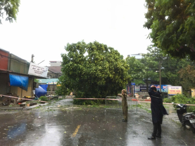 Khẩn trương khắc phục các sự cố đổ cây, sập lán do bão gây ra