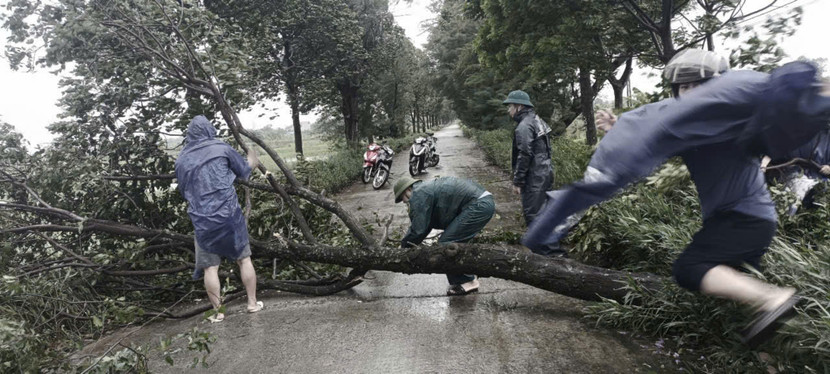 Lực lượng Công an cùng các đơn vị khẩn trương di rời các cây đổ chắn ngang đường trên địa bàn