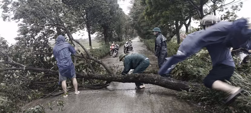 Lực lượng Công an cùng các đơn vị khẩn trương di rời các cây đổ chắn ngang đường trên địa bàn